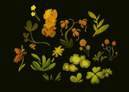 Ботаника цветы