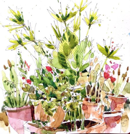 Растения акварель