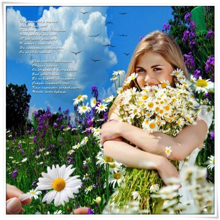 Девушки, гадающие на ромашках