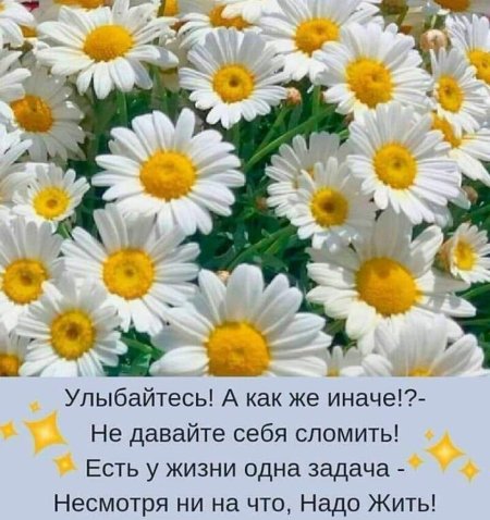 С ромашками