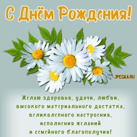 Открытки с днём рождения женщине красивые ромашками