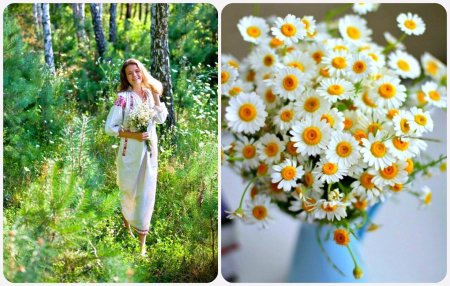 Букет ромашек