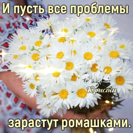 Пусть все проблемы зарастут ромашками