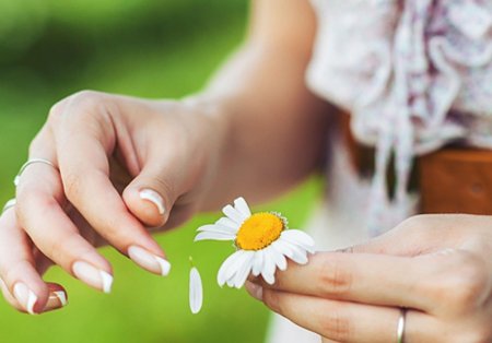 День гадания на ромашках