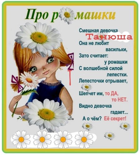 Стихи про ромашки