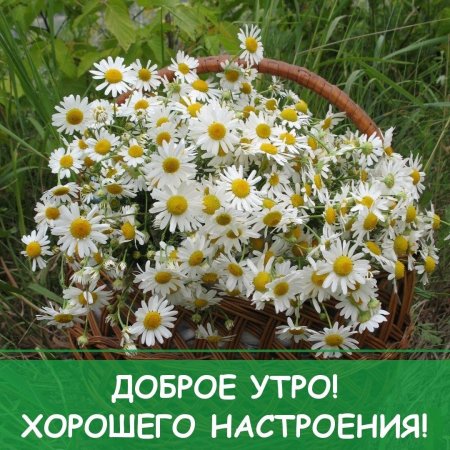 Доброе утро и отличного настроения
