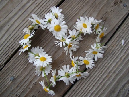 Сердечко из ромашек