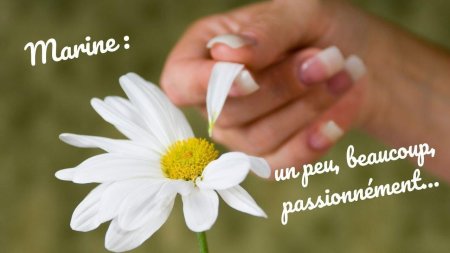 Гадать на ромашке