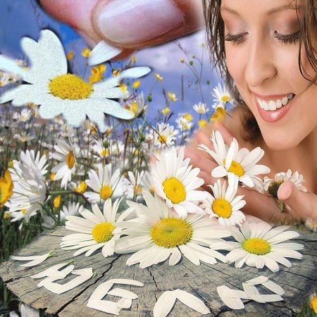 Девушка ромашка