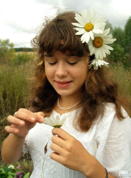 29 мая день гадания на ромашках