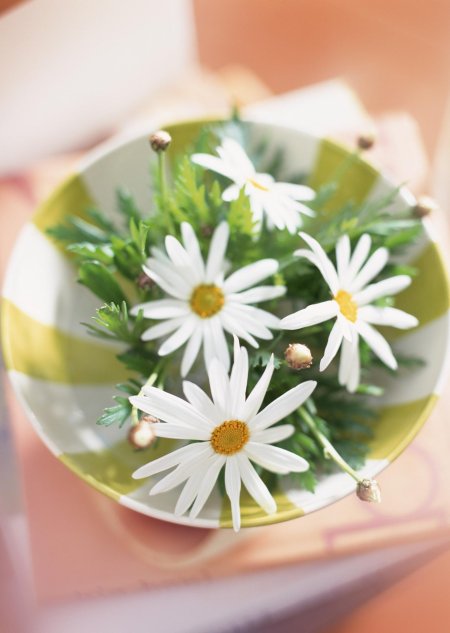 С ромашками