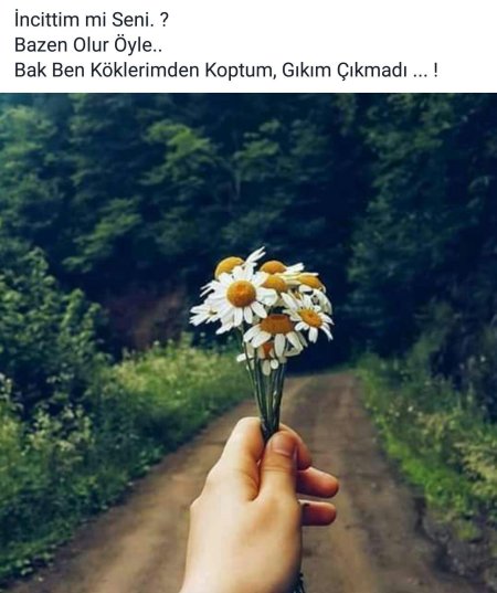 Букет ромашек