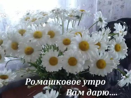 Букет ромашек