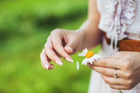 Гадать на ромашке