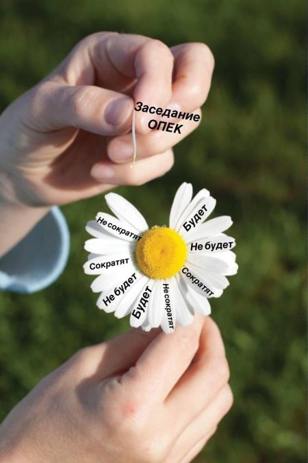 Ромашка любит не любит