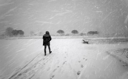 Метель зимой