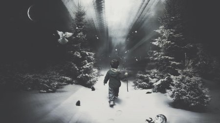 Зима одиночество