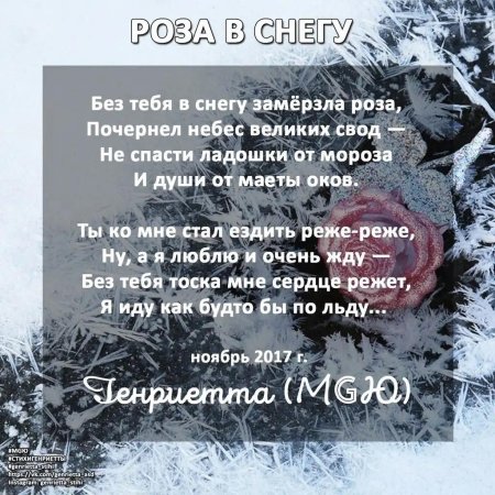Роза в снегу стихи