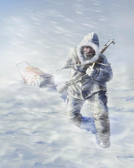 Полярник арт