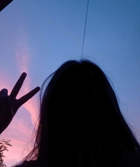 Силуэт девушек