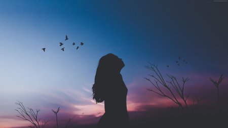 Силуэт девушек