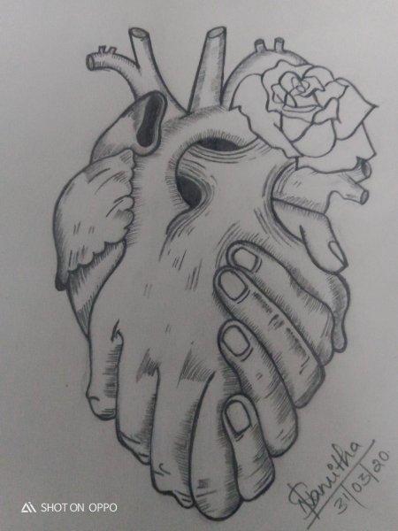 Сердце эскиз