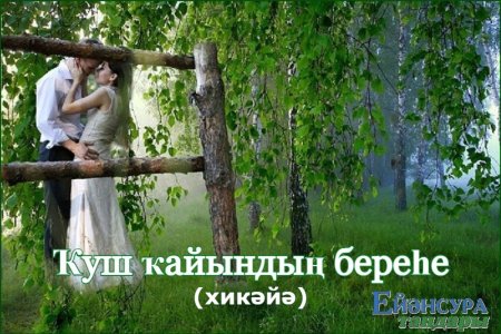 Матушка земля белая березонька