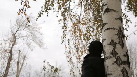 Береза зима