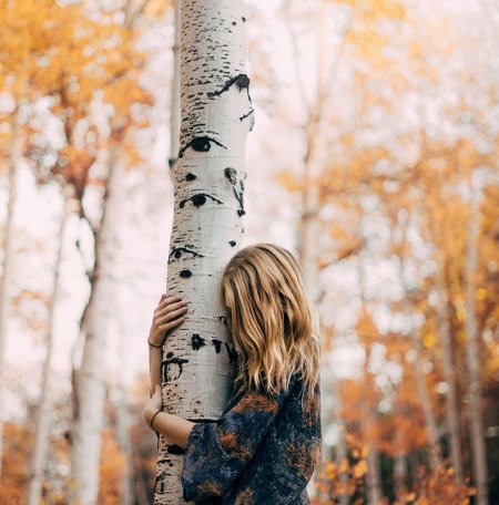 Обнимает березу