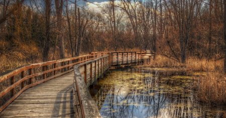 Деревянные мосты