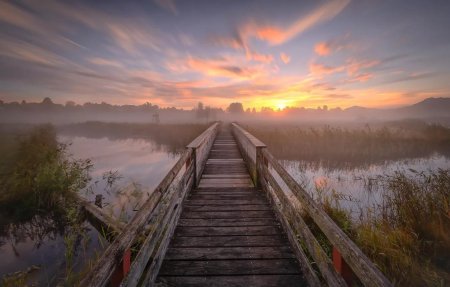Мост в тумане