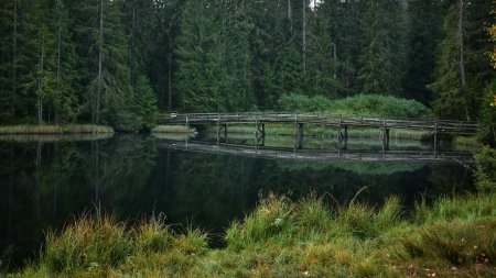 Озеро дикое деревня кучердаевка