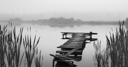 Мостки на озере