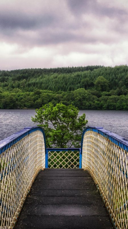 Мостик у реки