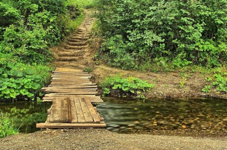 Деревянный мостик через ручей в лесу