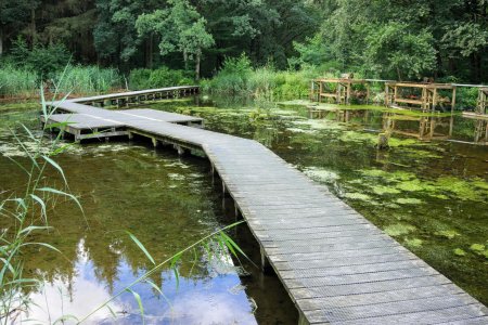 Прудик речка мостик.деревня