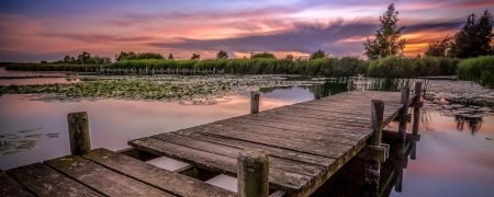 Мостки на озере