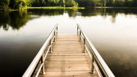 Мостик на озере