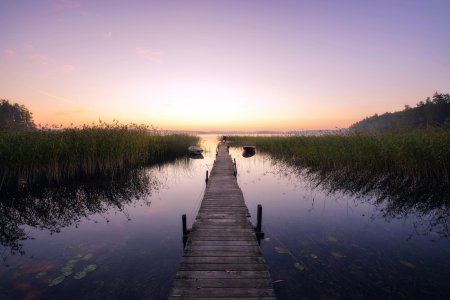 Васкелово озеро мостки
