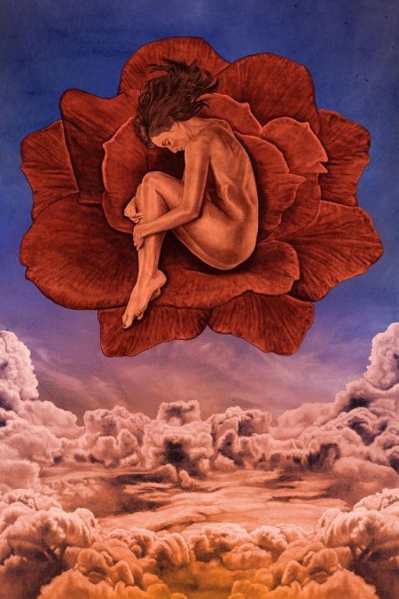 Медитативная роза дали