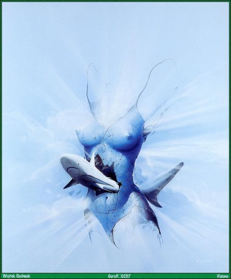 Войтек сьюдмак