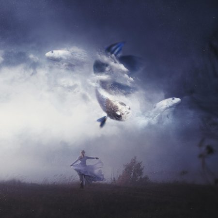 Летающий кит