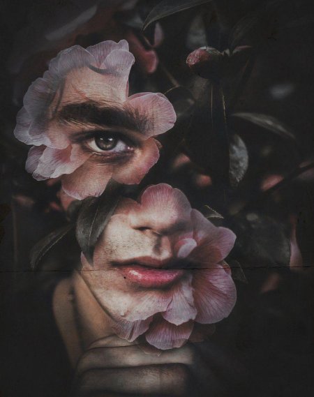 Сюрреализм фотографии