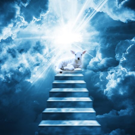 Лестница в небе