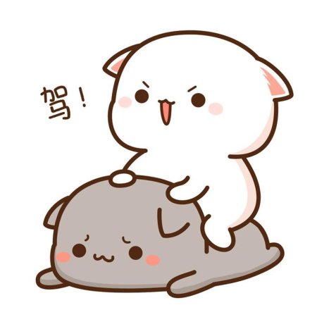 Кавайные котики любовь