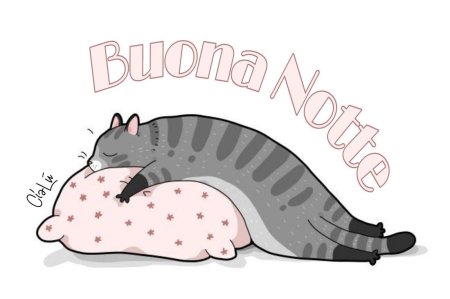 Ленивая кошка