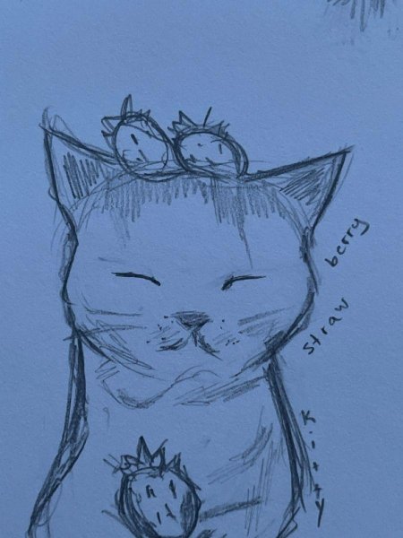 Рисунки котиков карандашом