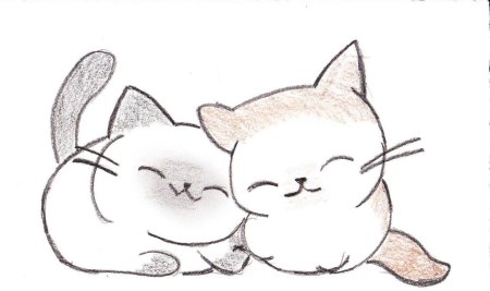 Котик для срисовки