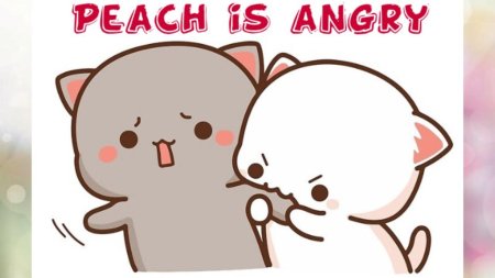 Кавайные котики парочка