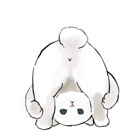 Mofu sand котики